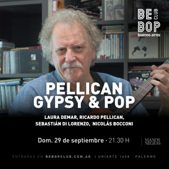 Pellican Gypsy & Pop