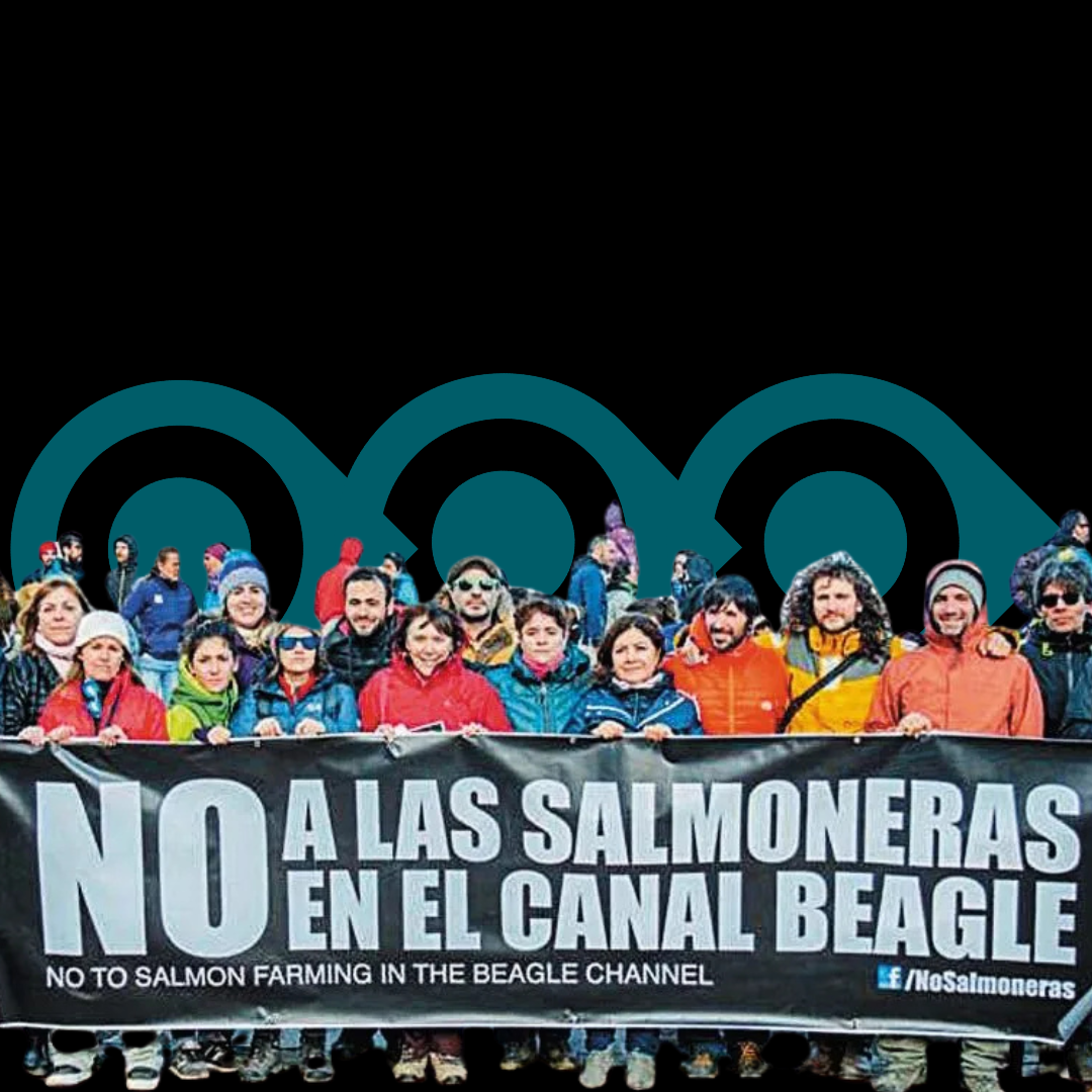 Tierra del Fuego – Contra las salmoneras, por el agua, la vida y el derecho a decidir