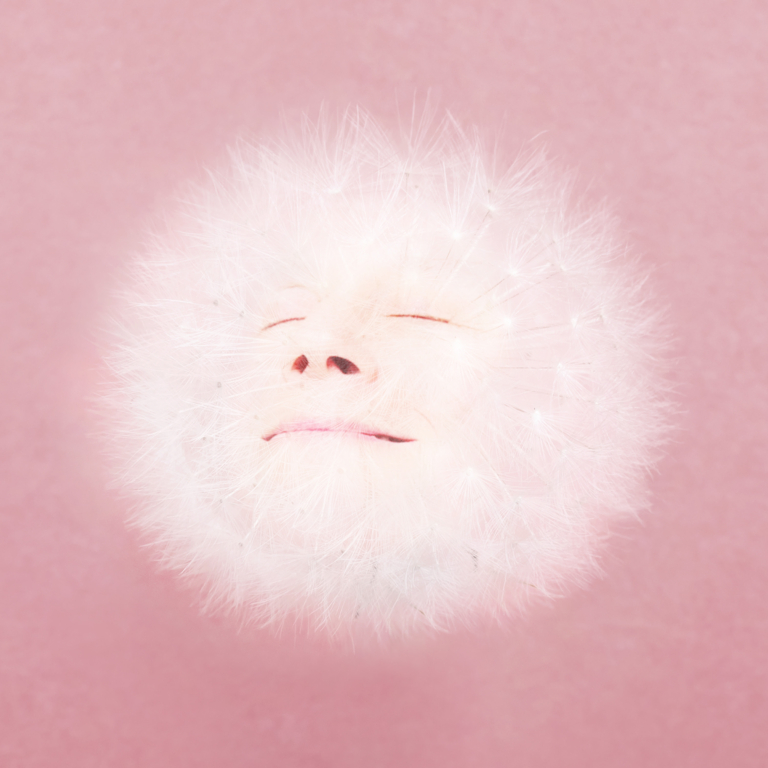 Juana Molina lanza “Siestas ahí”, primer adelanto de Doga