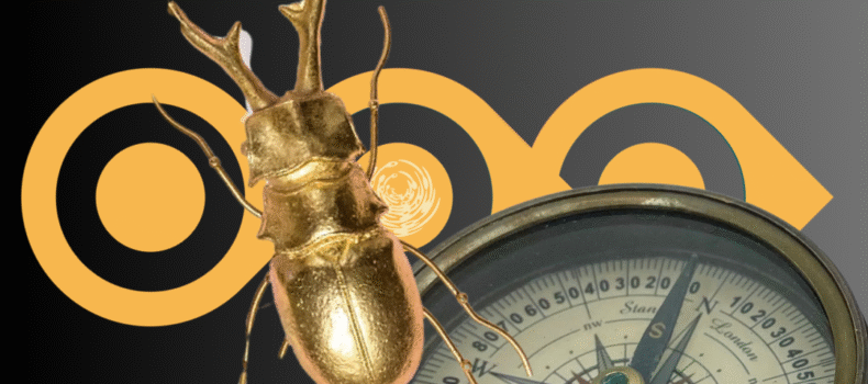 Lo irresoluble. Señales mínimas, misterios gigantes.