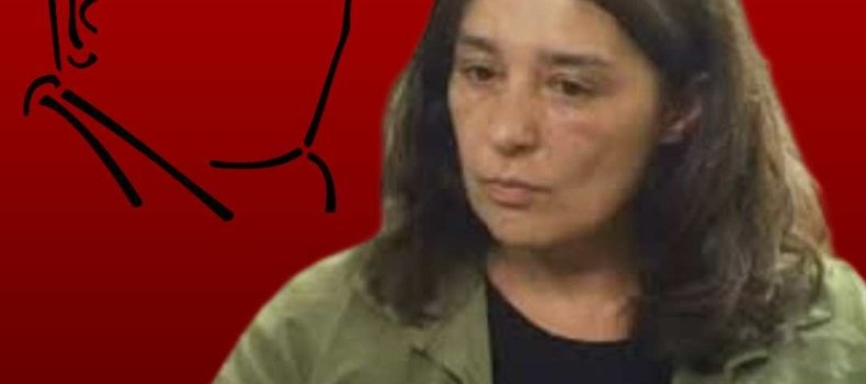 No lo buscaron: lo buscaron mal | Guadalupe Godoy